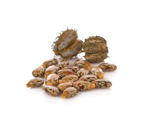 🌿 NEWYORKLISTED Organic Jamaican Black Castor Oil – Hair & Skin Elixir - NEWYORKLISTED