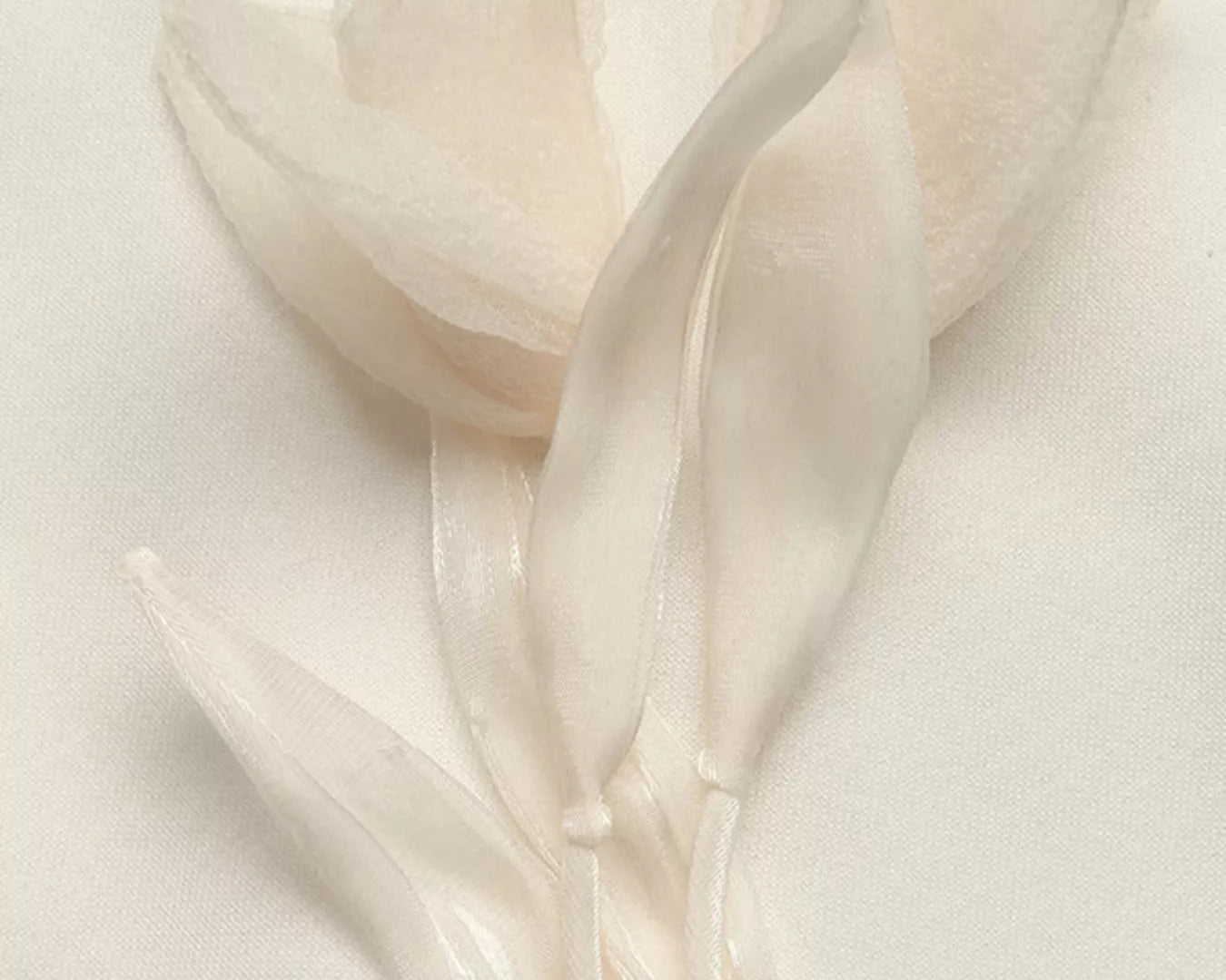 NEWYORKLISTED STYLE COLLECTION: Close-up of a white tulip on a light background