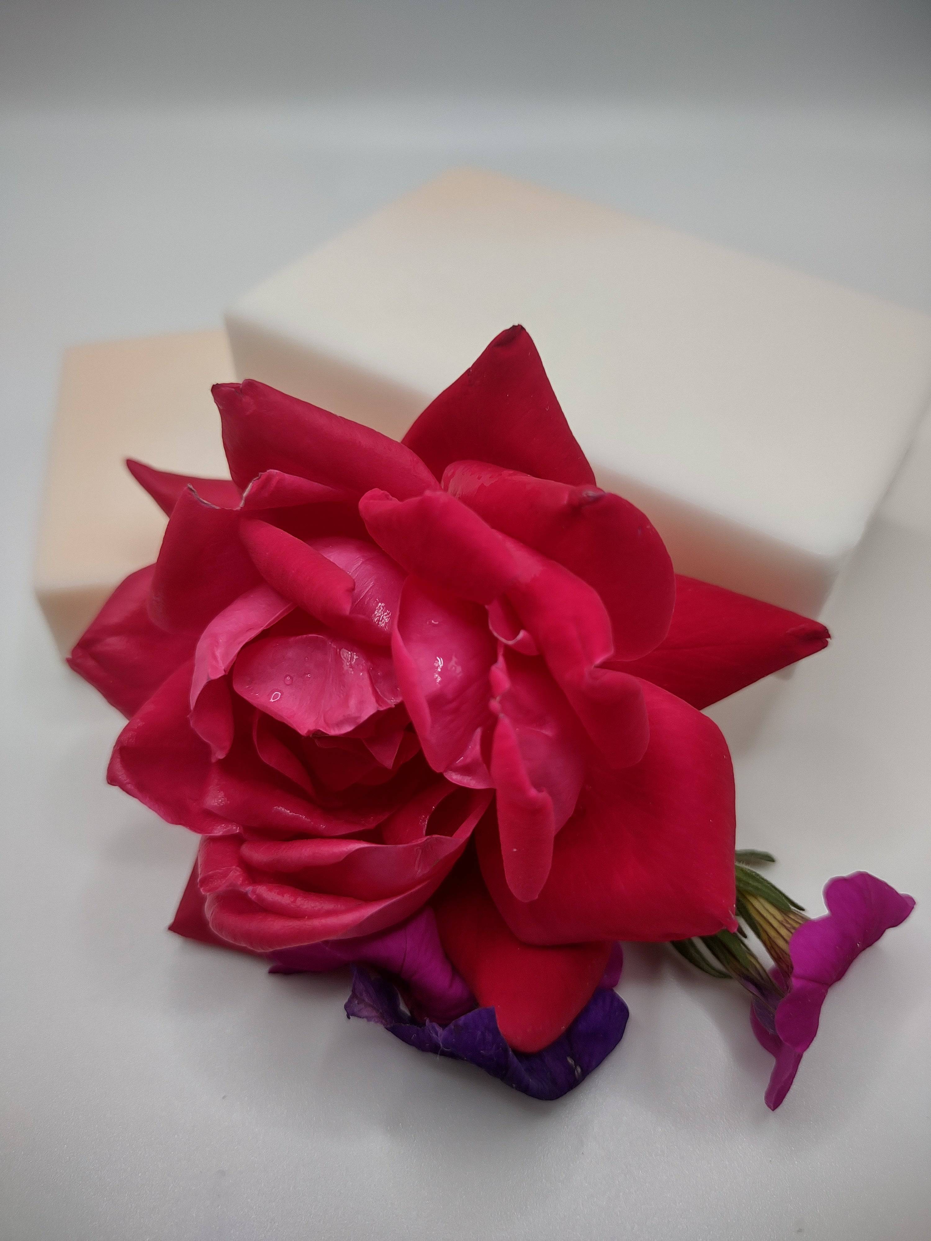 AMLA NATURALS Opulence Essence Orange Creamsicle Soap - NEWYORKLISTED