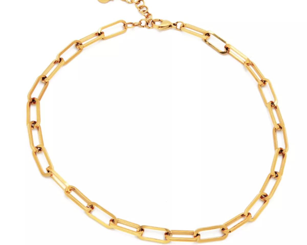 NYLD Glamour Collection by NEWYORKLISTED: Gold chain necklace on a white background
