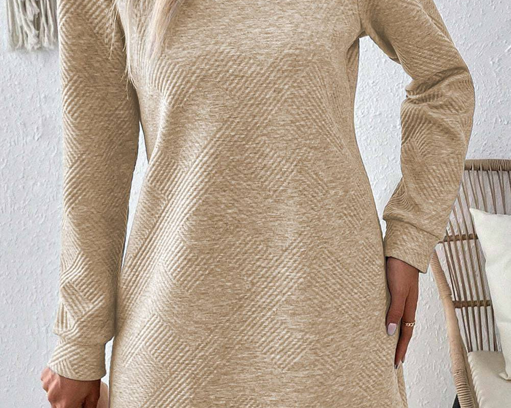Textured Round Neck Long Sleeve Mini Dress - NEWYORKLISTED